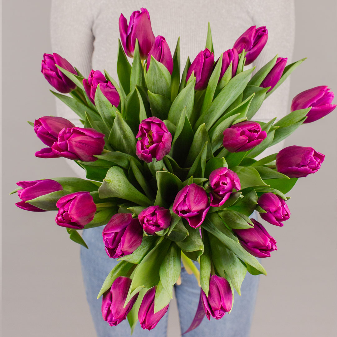 Букет из 25 Тюльпанов (фиолетовый) 7338