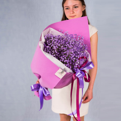 Небольшой букет из цветных гипсофил N 35974 Небольшой букет из цветных гипсофил N 35974