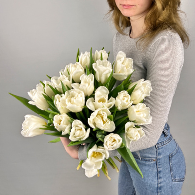Букет из 25 белых пионовидных тюльпанов под ленту 46176