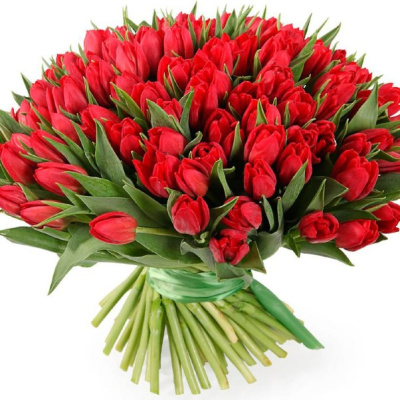 Букет из 101 красного тюльпана (без упаковки) 7335