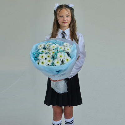 Букет школьный с хризантемой и гипсофилой ГОЛУБОЙ N 84572-Г