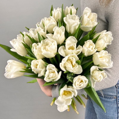 Букет из 25 белых пионовидных тюльпанов под ленту 46176