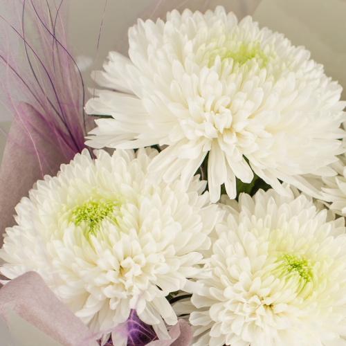 Букет из одноголовых белых хризантем с сухоцветами арт. 50443