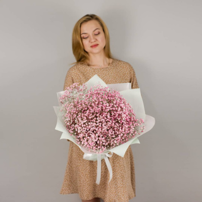 Букет из розовых гипсофил N 50459 Букет из розовых гипсофил N 50459