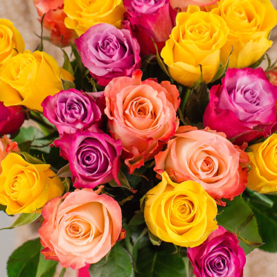 Букет из 25 эквадорских роз 40 см Яркий микс 7310 Букет из 25 эквадорских роз 40 см Яркий микс 7310