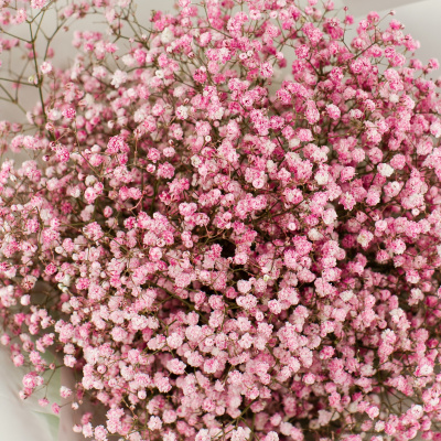 Букет из розовых гипсофил N 50459 Букет из розовых гипсофил N 50459