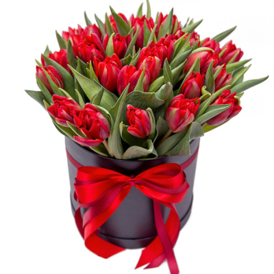 Тюльпаны пионовидные 25 шт. в коробке (красные) 46170